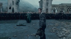 Harry Potter and the Deathly Hallows: Part 2 Image 3
