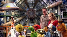 The Muppets Image 1