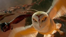Legend of the Guardians: The Owls of Ga'Hoole Image 3