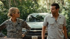 Aloha Image 3