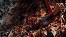 Hatchet II Image 3