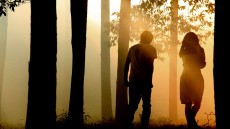 Norwegian Wood Image 4