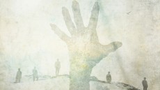 Dead Snow Image 1