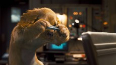 Cats & Dogs: The Revenge of Kitty Galore Image 3
