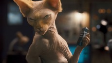 Cats & Dogs: The Revenge of Kitty Galore Image 1