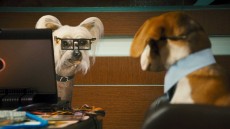 Cats & Dogs: The Revenge of Kitty Galore Image 4