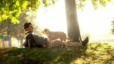 Seeking a Friend for the End of the World Image 4