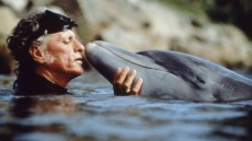 The Cove Image 3