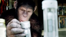 Rise of the Planet of the Apes Image 3