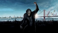 Rise of the Planet of the Apes Image 1