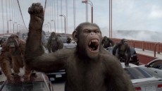 Rise of the Planet of the Apes Image 4