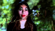 Something Wicked Image 1