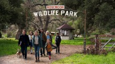 We Bought a Zoo Image 1
