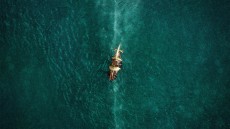 In the Heart of the Sea Image 2