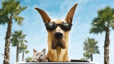 Marmaduke Image 1
