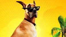 Marmaduke Image 3