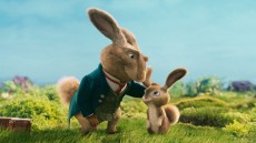 Hop Image 4