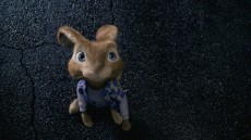 Hop Image 2