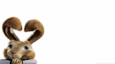 Hop Image 3
