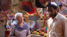 The Best Exotic Marigold Hotel Image 2