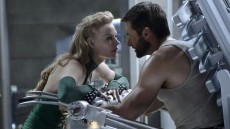 The Wolverine Image 2