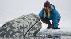 Big Miracle Image 1