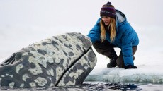 Big Miracle Image 2