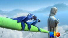 Rio Image 4