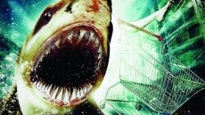 Bait Image 1