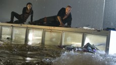 Bait Image 2
