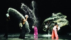 Pina Image 2