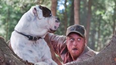 Tucker and Dale vs. Evil Image 3