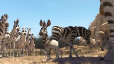 Khumba Image 2