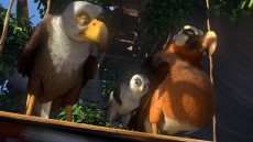 Zambezia Image 4