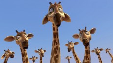 Zambezia Image 3