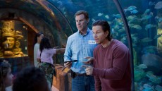 Daddy's Home Image 2