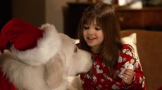 The Search for Santa Paws Image 4