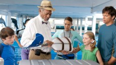 Dolphin Tale Image 1