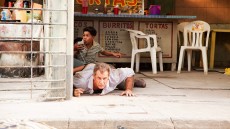 Get the Gringo Image 4