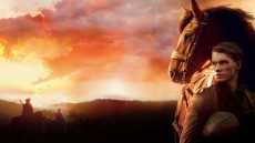 War Horse Image 4