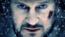The Grey Image 3