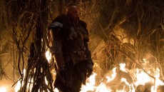 The Last Witch Hunter Image 2