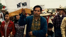 Cesar Chavez Image 2