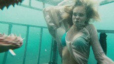 Shark Night 3D Image 3