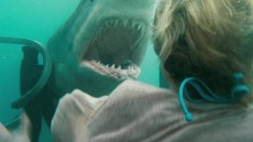 Shark Night 3D Image 2
