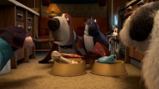 Open Season 3 Image 4