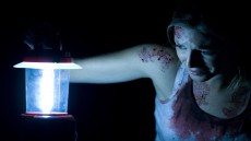 The Silent House Image 2