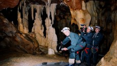 Cave of Forgotten Dreams Image 1