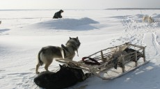 Happy People: A Year in the Taiga Image 3