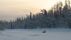Happy People: A Year in the Taiga Image 2